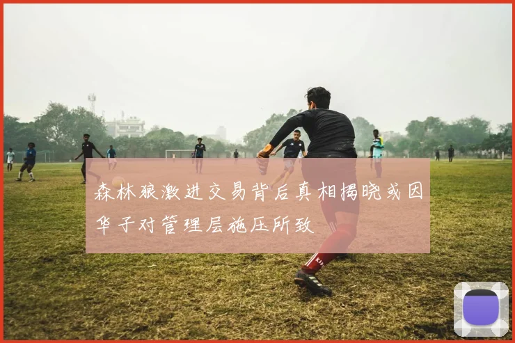 森林狼激进交易背后真相揭晓或因华子对管理层施压所致