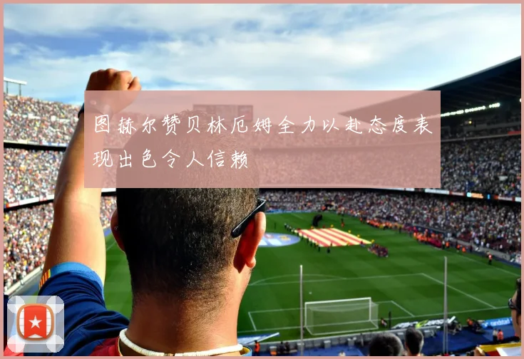 图赫尔赞贝林厄姆全力以赴态度表现出色令人信赖